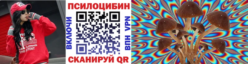 ссылка на мегу вход  Никольское  Галлюциногенные грибы Psilocybine cubensis 